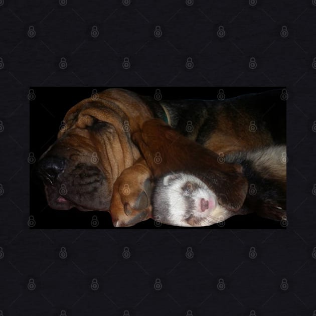 Bloodhound Ferret BFF by nounejm